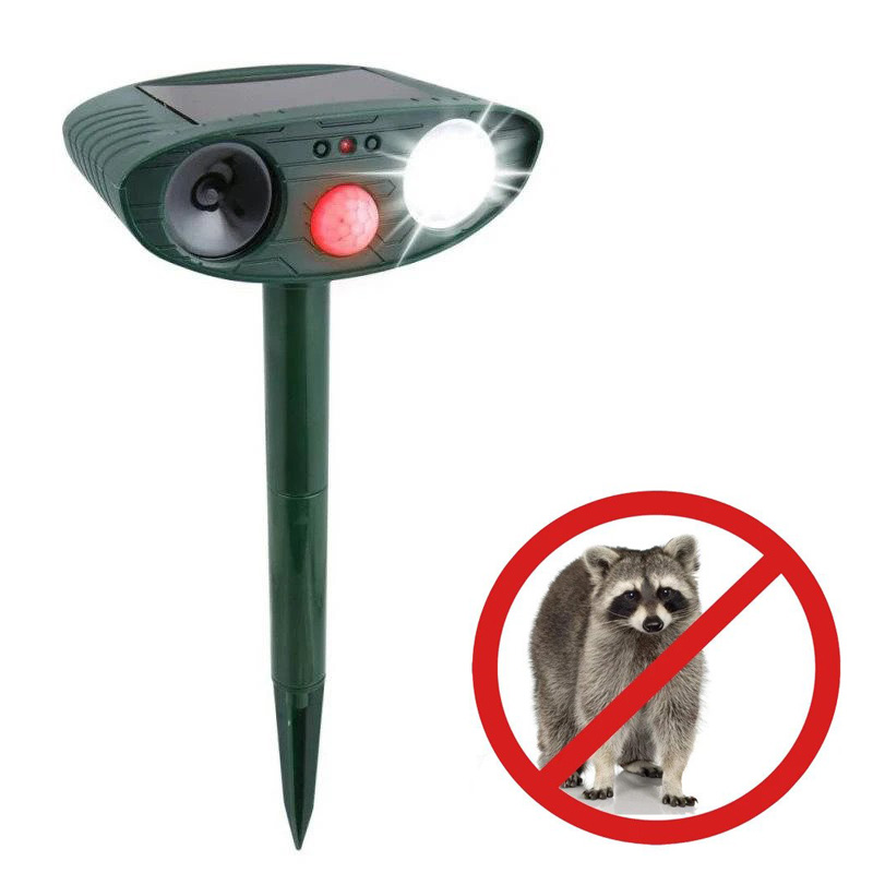 Get Rid of Raccoons in Your Backyard in 48 Hours or It's FREE!