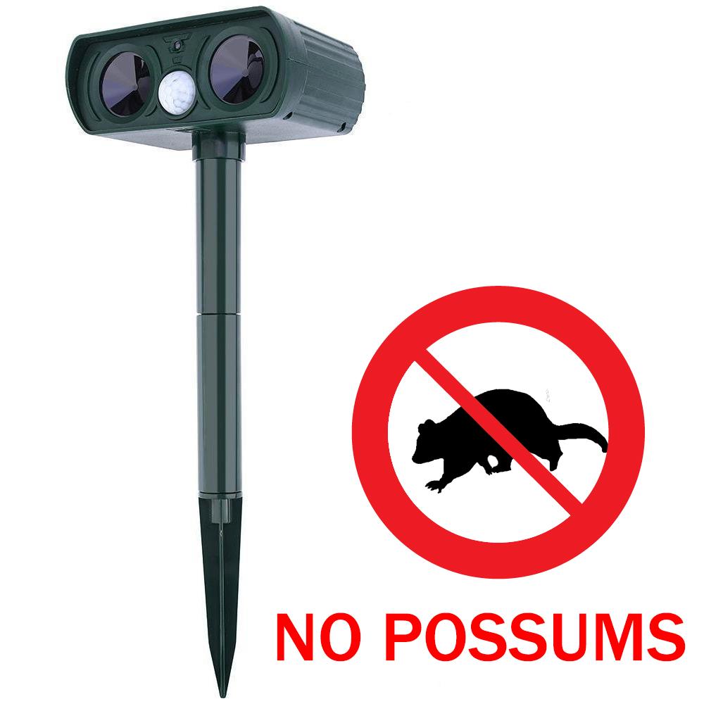 How to Get Rid of Possums In Your Yard & House in 48 Hours?