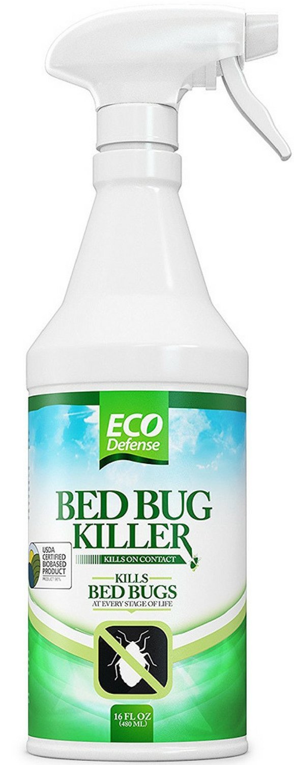 relieve bed bug itch