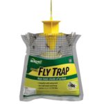 Fly Trap