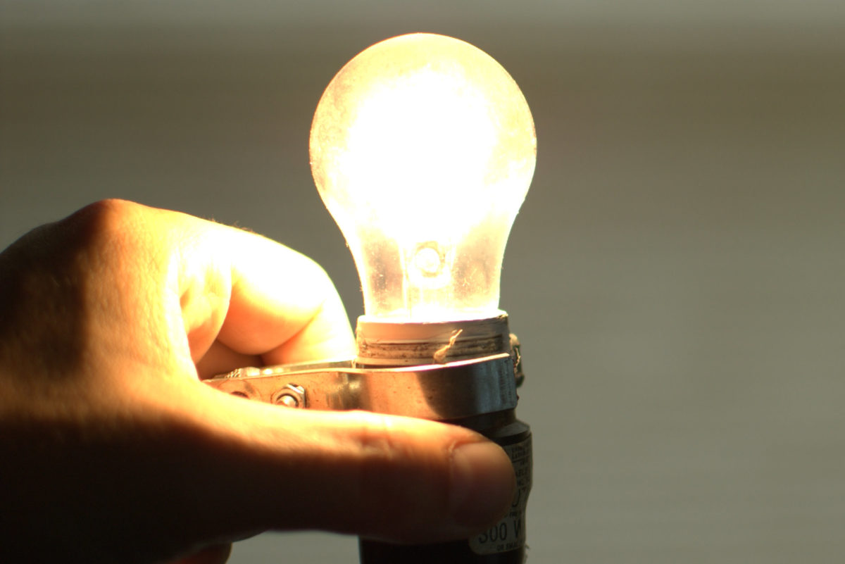 bulb in hand