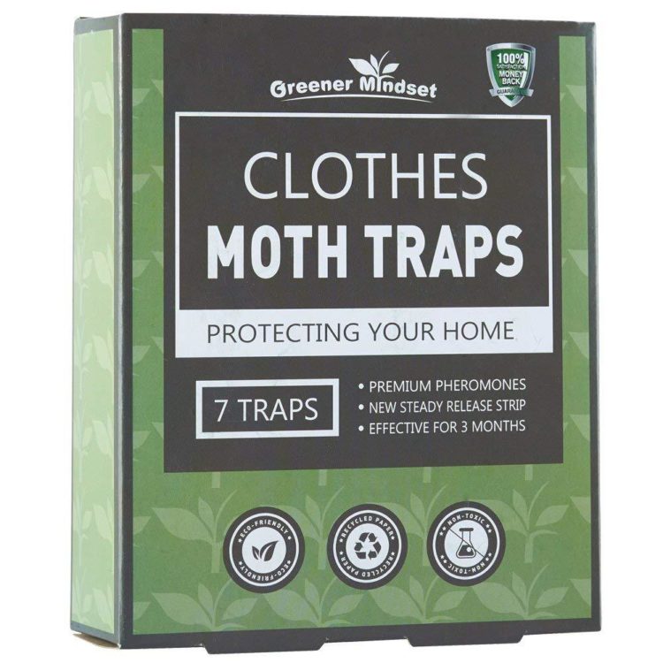 How To Choose The Best Clothes Moth Traps And Get Rid of Moths in Only ...