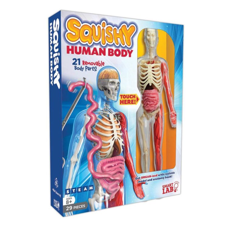 squishy human body