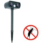 Solar Earwig Repeller