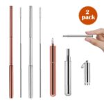 Reusable Portable Straws